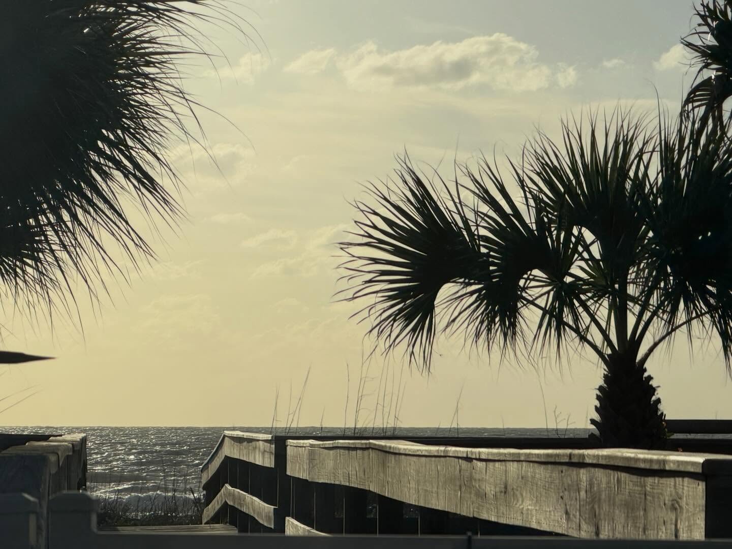 My view for breakfast. #floridalife